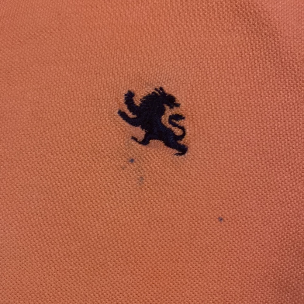 Express polo - Picture 2 of 2